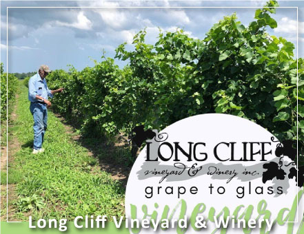 Winery Tour Vineyards List - Long Cliff  Winery